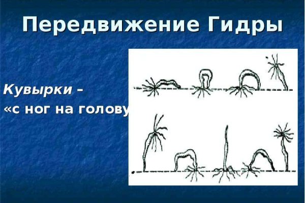 Кракен са